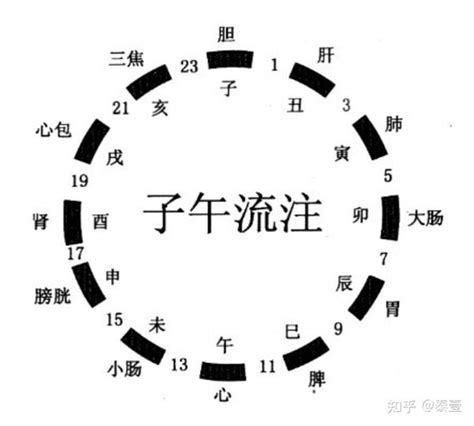 戊己土意思|十天干十二地支